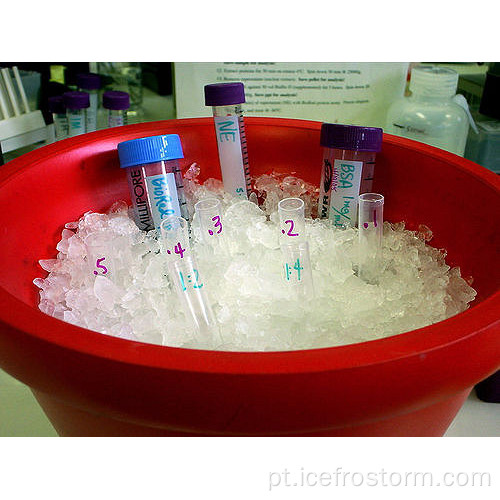 Máquina de gelo picado para laboratório e restaurante